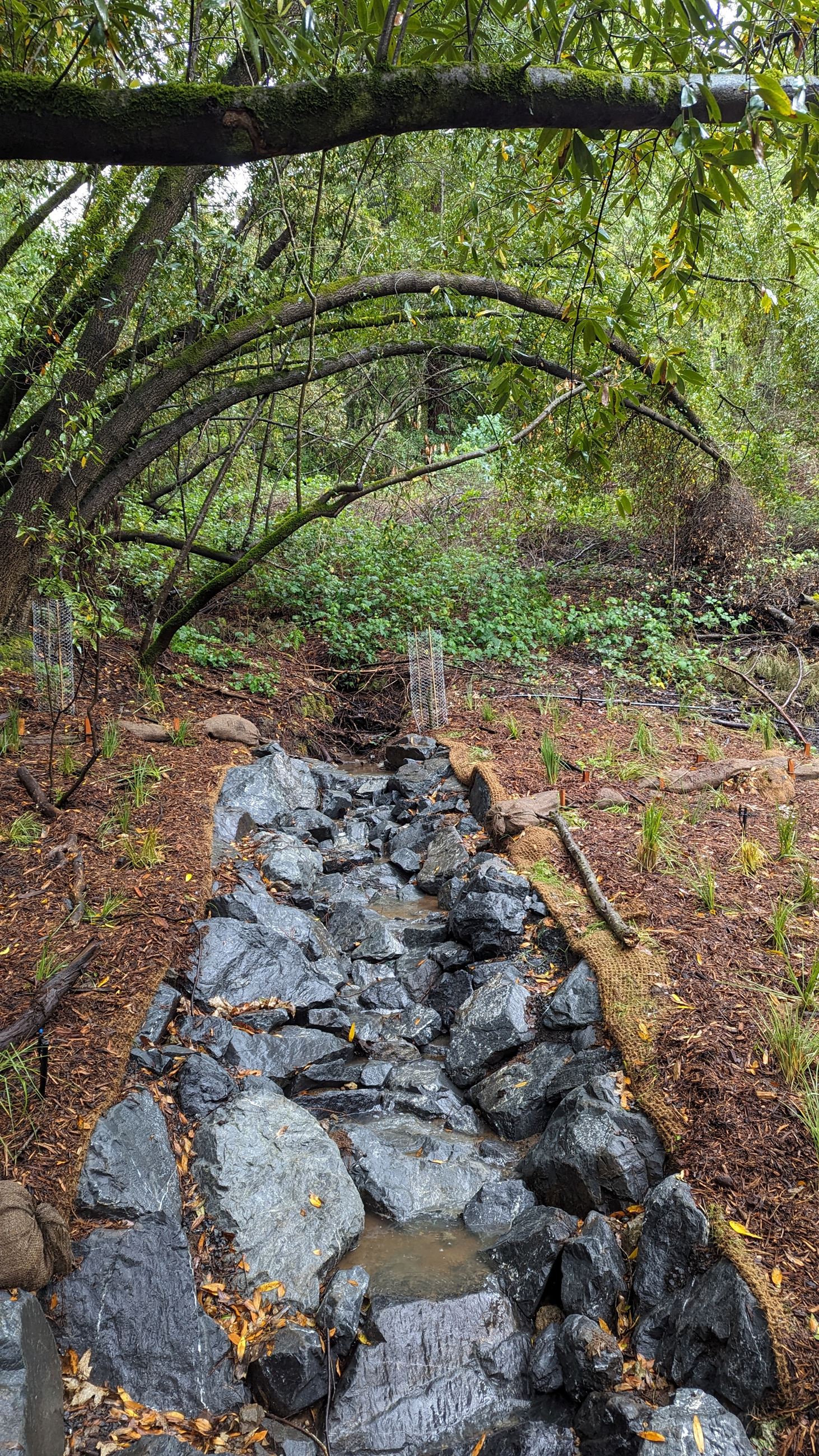 Fitch Mountain Access