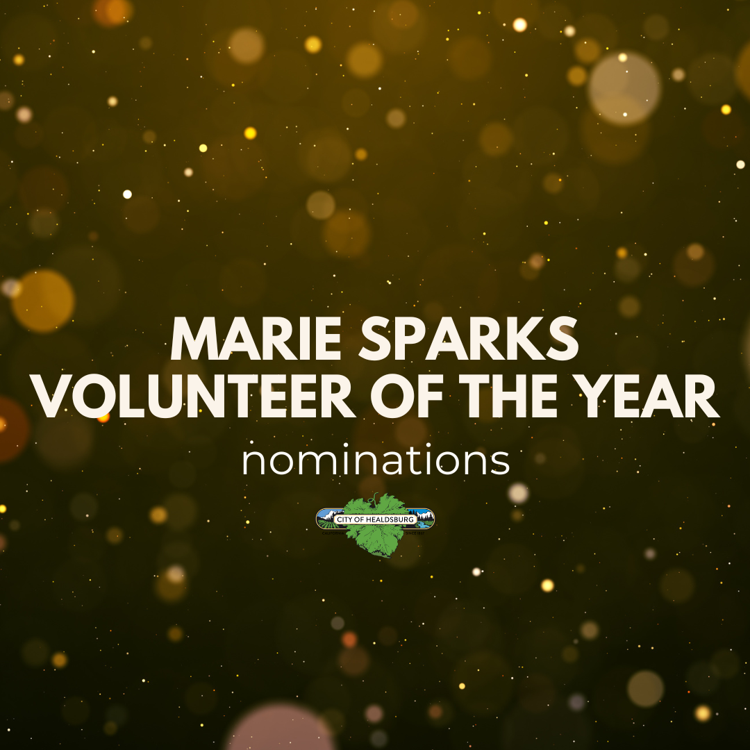 Marie Sparks Volunteer of the Year Nominations