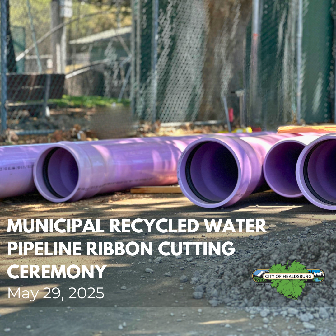 Purple Recycled Water Pipes